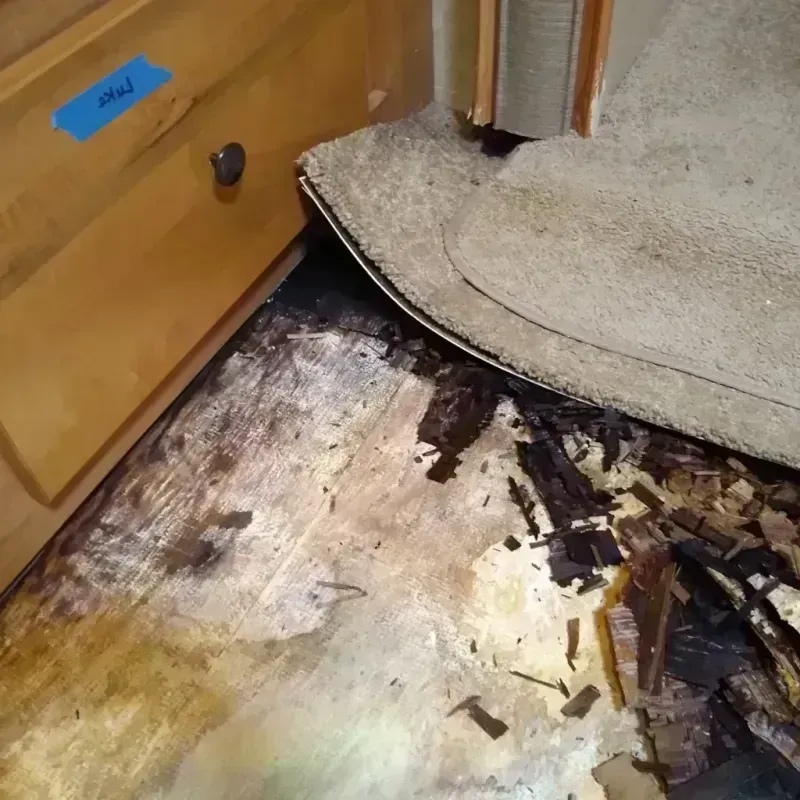 Best Wood Floor Water Damage Service in Butler County, IA